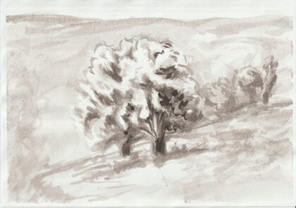 Arbre 1