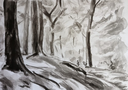 Forêt 1