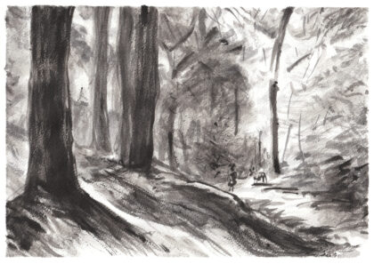 Forêt 2.A4
