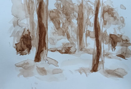 Haagse bos 2