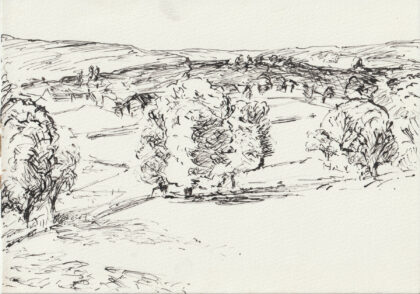 Paysage 13