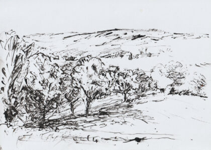 Paysage 20