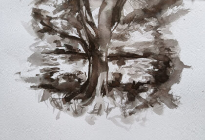 Arbre 2