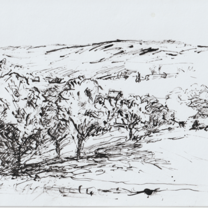 Paysage .Plume sur papier