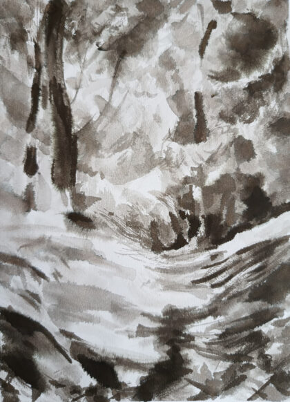 Forêt sept.2025