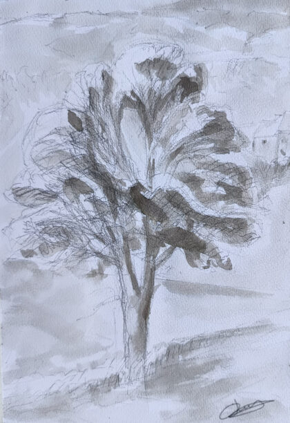 Arbre 3