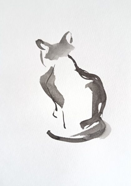 Chat