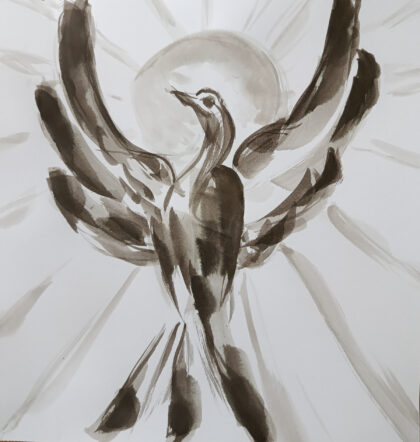 Vuurvogel