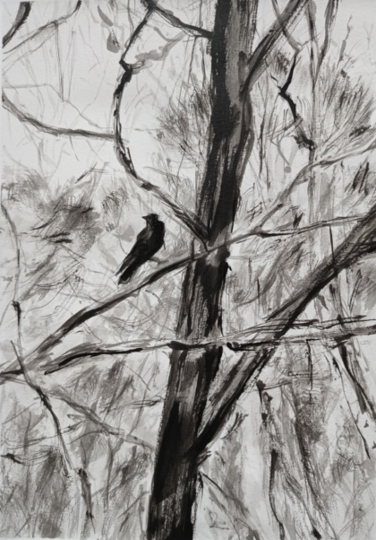 Corbeau