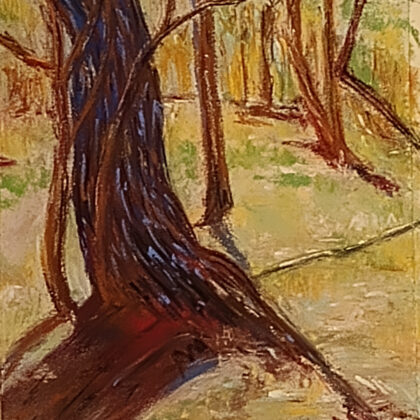 Premières poussées 2