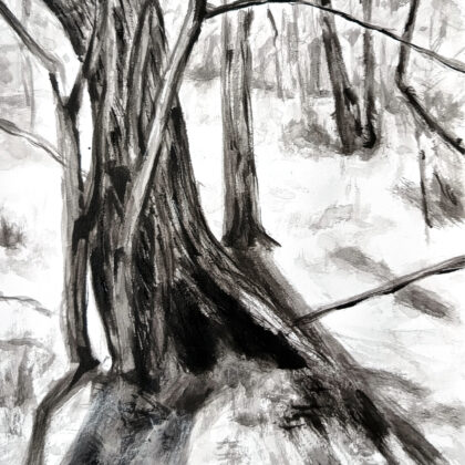 Premières poussées