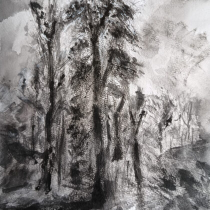 Jamais une ombre n'abolira le soleil