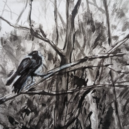 Le mystère du Corbac