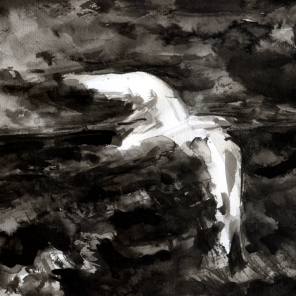 Mouette nocturne