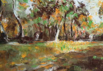 Paysage. Mai 2026