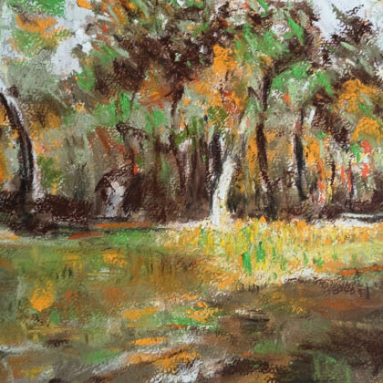 Paysage. Mai 2026
